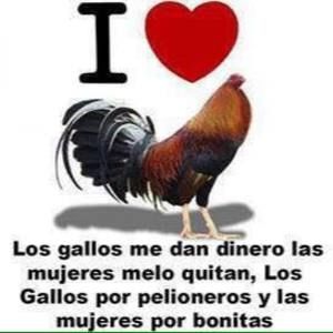 Meet your Posher, Luis